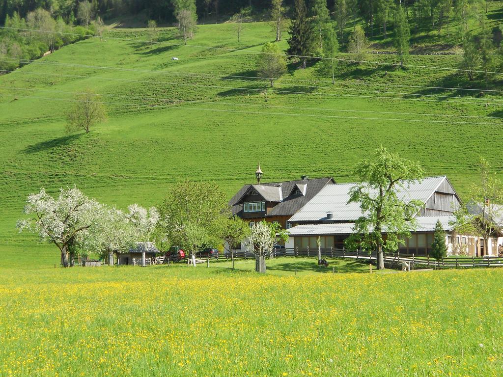 Weitgasserhof Шладминг Экстерьер фото